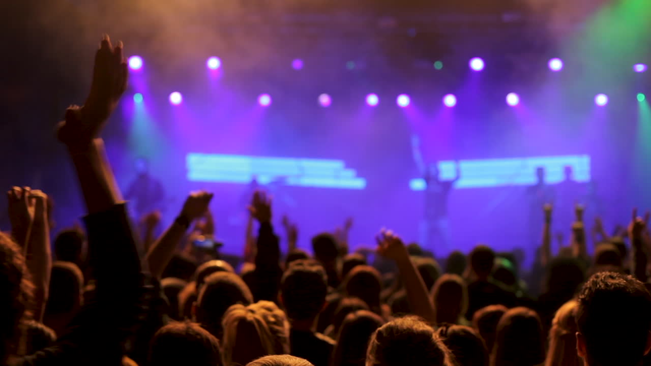 La folla del concerto con le luci del palco