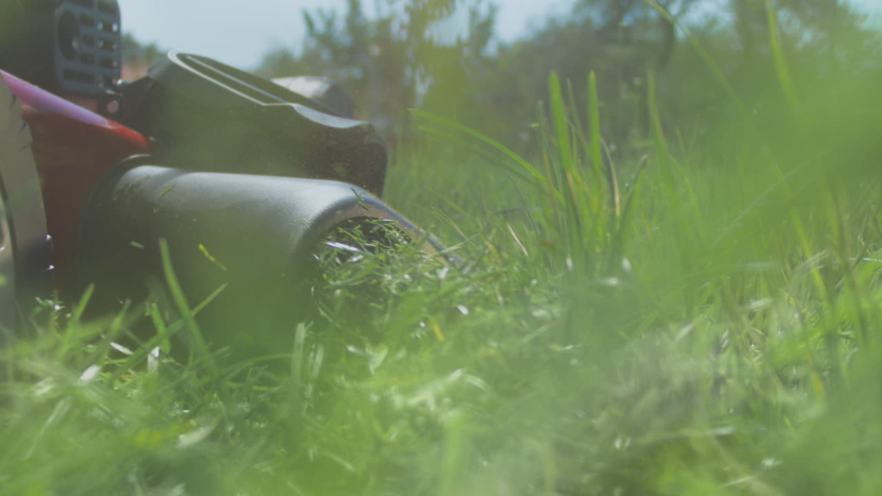 primer plano de una cortadora de césped cortando el césped