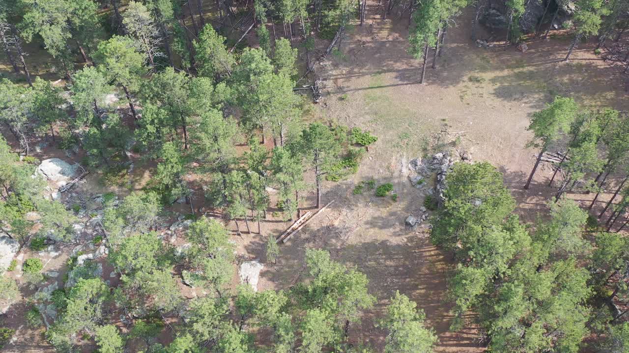 Black Hills South Dakota Aerial View