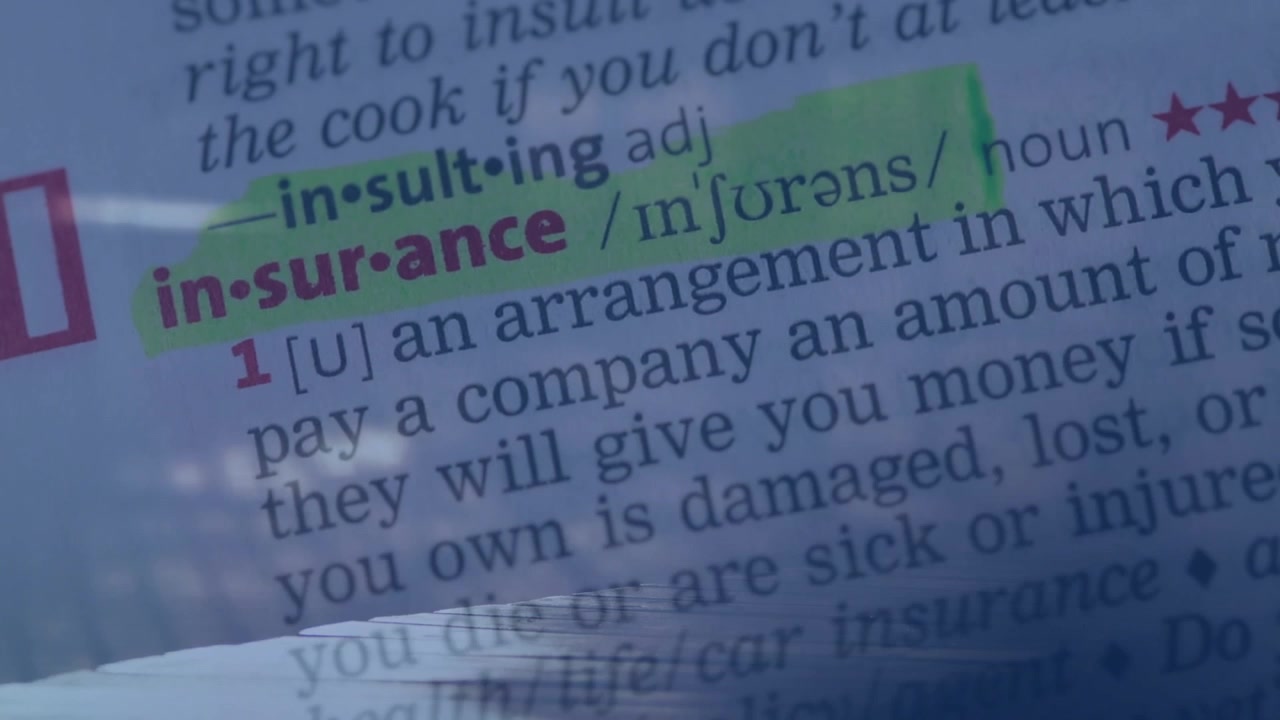 Griglia tenue attira l'attenzione, mano passa pennarello verde evidenziando 'in-surance' per enfasi.
