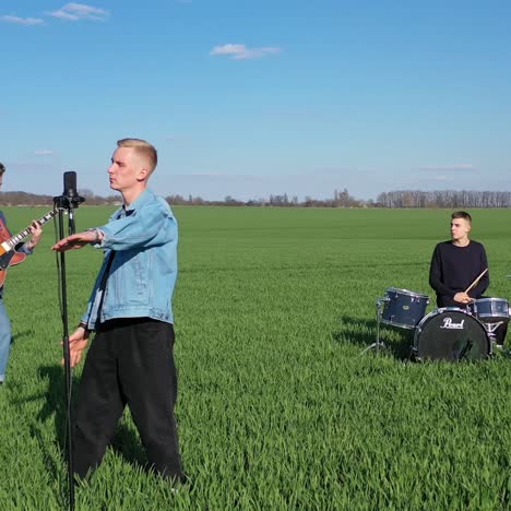 musical group plays in field. young group of musicians playing music on acoustic guitar and singing outdoors in summer