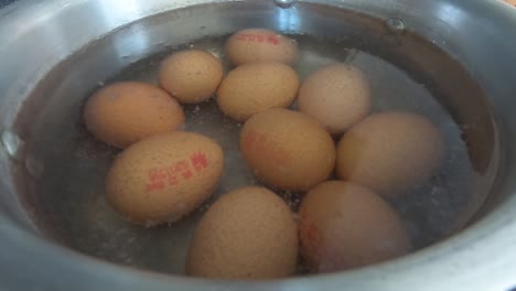 close up of 10 eggs slowly coming to boil in water in a silver pot pan in a kitchen