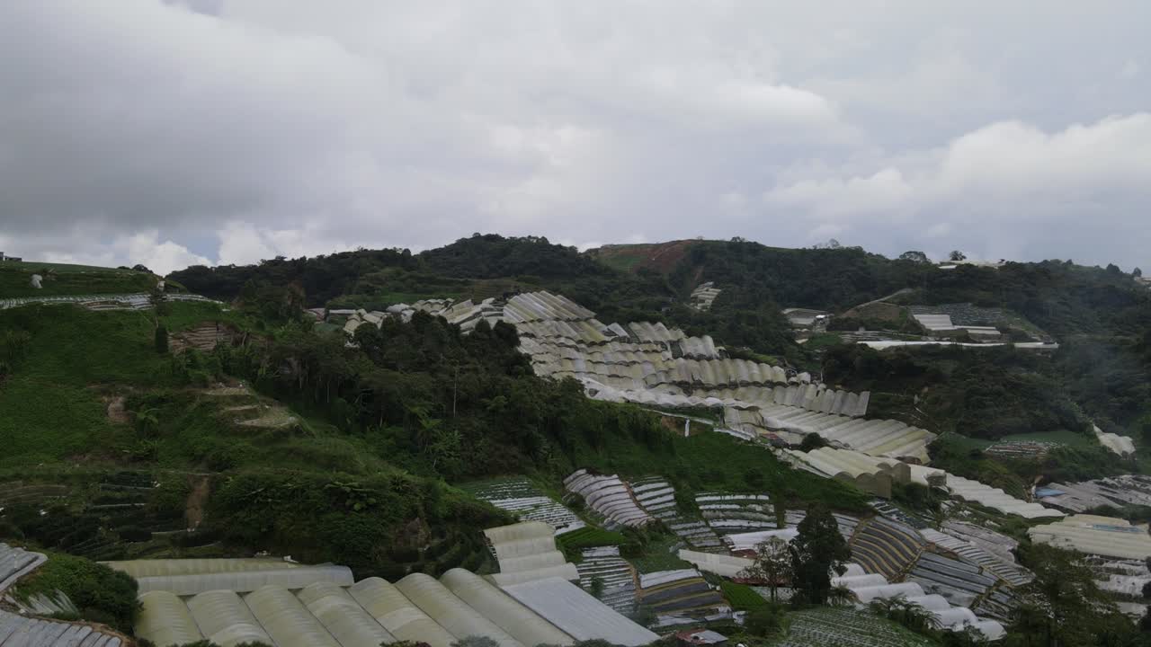 말레이시아의 카메론 하이랜드 지역 내의 브린창 지역의 일반 풍경