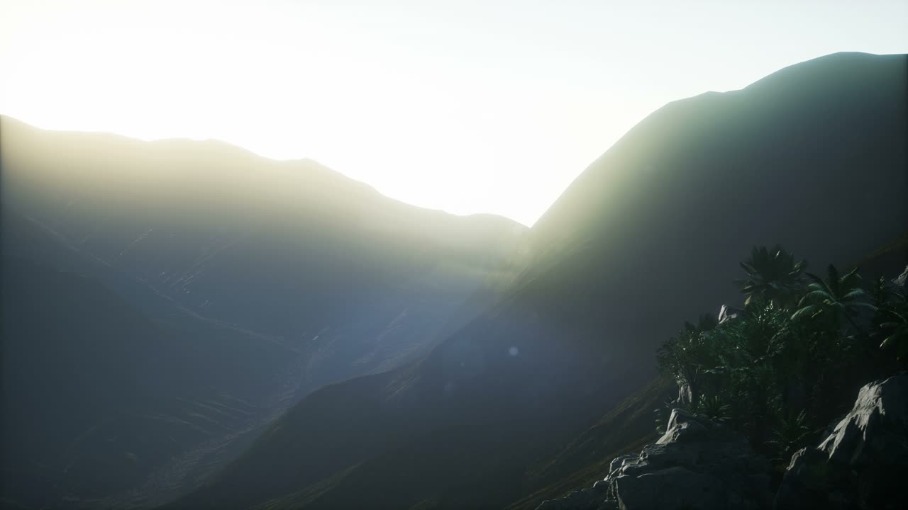 ⁇ 나무 를 가로지르는 해 가 지는 광선