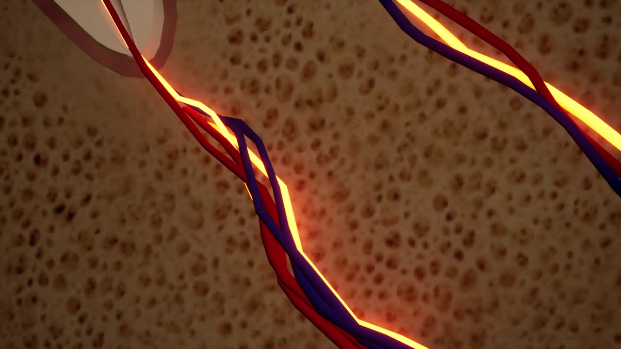 dolor de dientes. sección anatómica detallada de los dientes. inflamación del nervio. animación en 3d