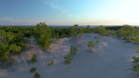 Drone-flying-up-from-the-sand-dunes-and-over-the-trees-in-Sandbanks