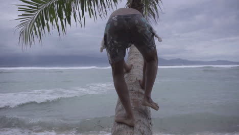 niño asiático trepando una palmera doblada en la playa