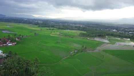 Imágenes-Aéreas-De-Una-Torre-Eléctrica-De-Alto-Voltaje-Construida-En-Medio-De-Un-Campo-De-Arroz-Verde-Con-Un