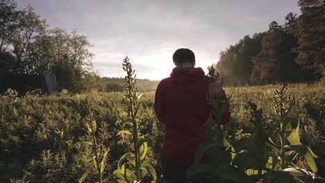 man hiking in a sunrise field