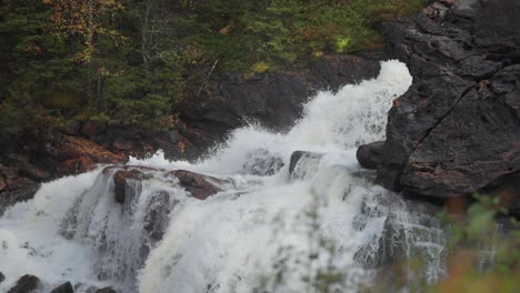 a waterfall cascades over the dark withered stones in the dark forest