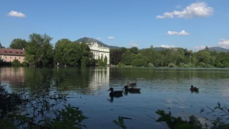 Ruhiger-See-Kurz-Vor-Sonnenuntergang,-Mit-Mehreren-Enten,-Die-Langsam-Herumschwimmen,-Und-Einem-Alten-Gebäude-Im-Hintergrund