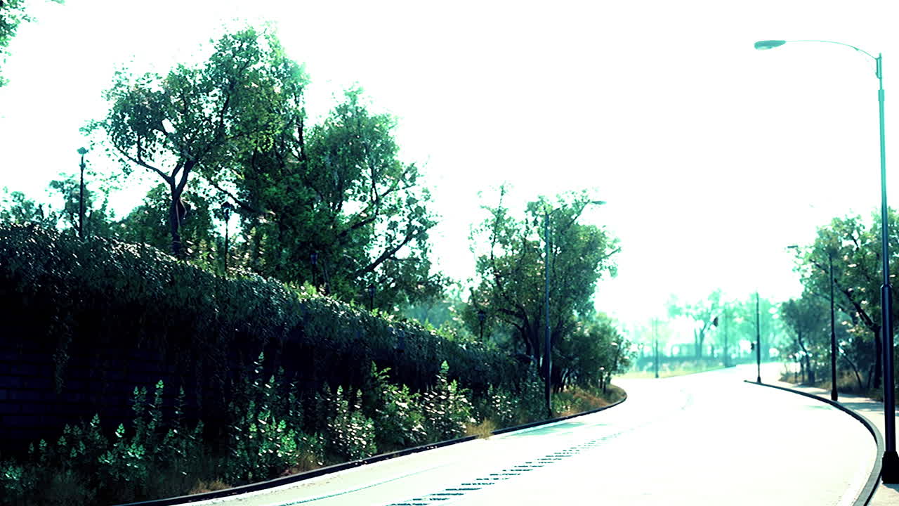 나무 와 초록색 조경 으로 된  비어 있는 도로