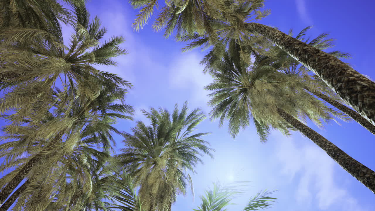 Palm trees sway gently under a bright blue sky in a tropical paradise