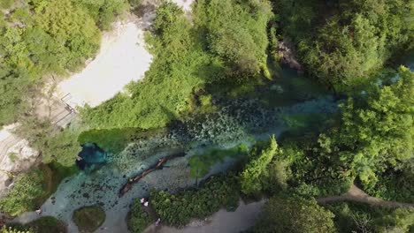 manantial de agua turquesa, ojo azul, albania