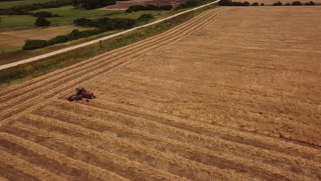 Roter-Traktor-Erntet-Das-Gelbe-Korn-In-Uruguay