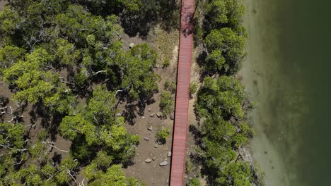 paseo marítimo de madera que serpentea a lo largo de un ecosistema de manglares protegido y un humedal de conservación.