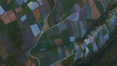 colorful land plots of hilly area of indonesia, aerial drone view