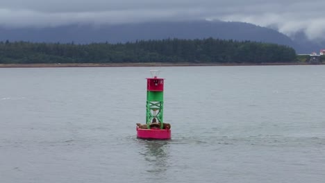 vista de la boya de navegación con leones marinos, subiendo y bajando en el océano en juneau, alaska