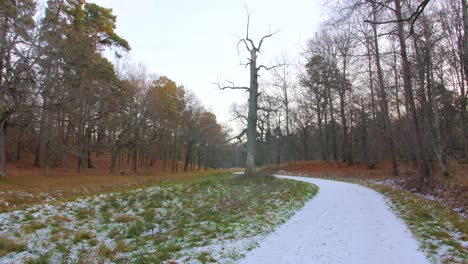 Scenic-View-Of-Snow-Covered-Empty-Road-With-Lush-Trees-During-Winter-In-Sweden-Countryside