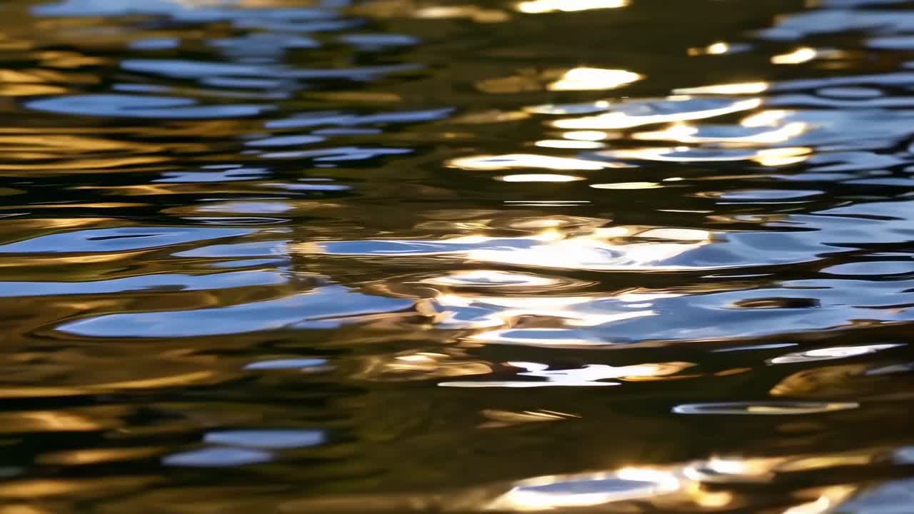 Close-up video of gentle water ripples reflecting sunlight, creating a serene and calming effect