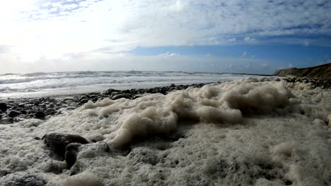 algae foam in storm on the beach, sandy beach with waves, north sea, jütland, sondervig, denmark, 4k