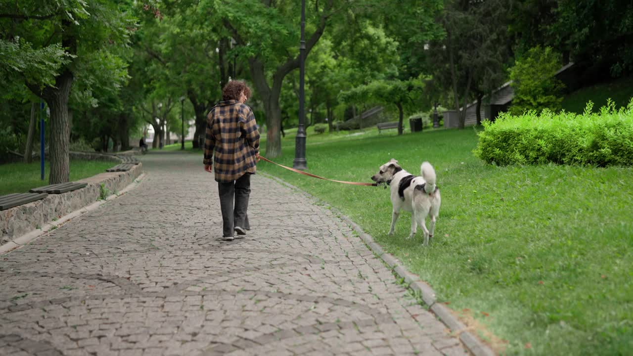 vista trasera de una chica morena feliz en una camisa a cuadros caminando con un perro en una correa en el parque durante el día