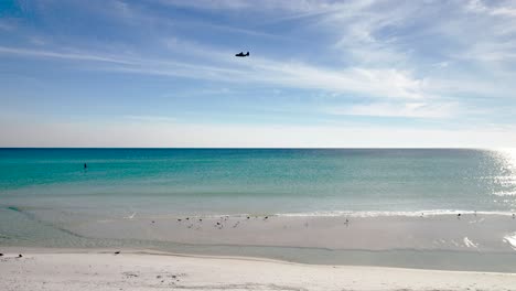 pájaros en una playa de arena blanca vacía con aguas claras como esmeraldas