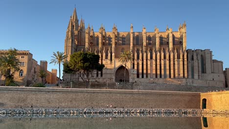 Blick-Auf-Die-Kathedrale-Von-Palma-De-Mallorca-Von-Links-Nach-Rechts-An-Einem-Herrlichen-Frühlingsnachmittag-Mit-Tiefblauem-Himmel