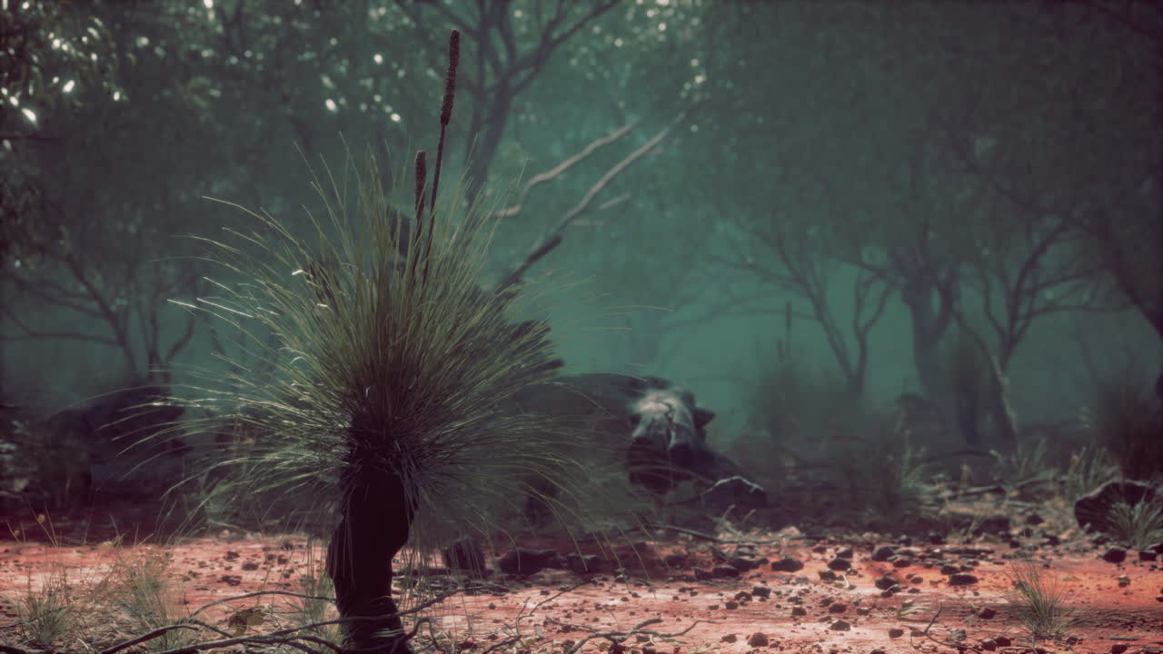 región de kimberley en australia occidental