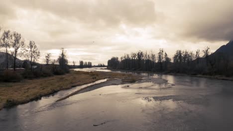 un lago desolado poblado solo por pájaros