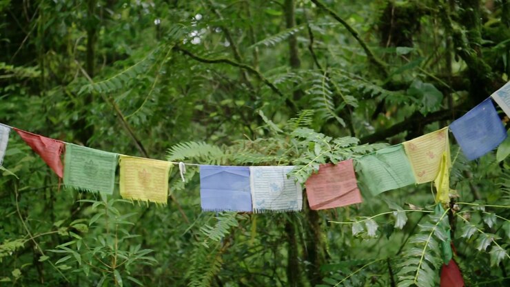 Bandiere di preghiera buddiste nella foresta pluviale, bandiere di preghiera buddiste colorate nella natura in una scena tropicale verde con felci, piante, alberi e vegetazione in un ambiente lussureggiante e rigoglioso sull'Himalaya in Nepal