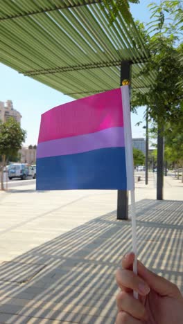 proud display of bisexual pride flag