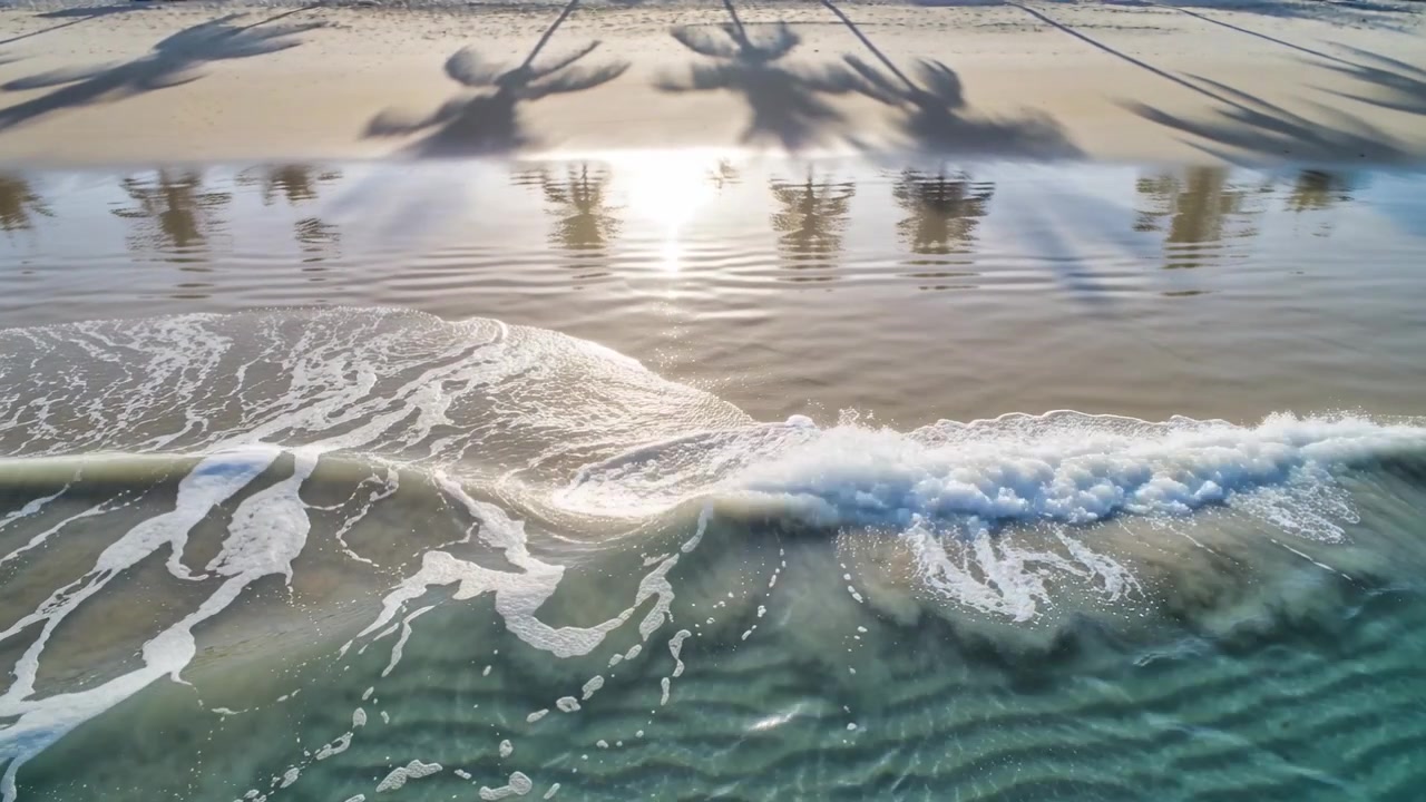 Un'onda in arrivo provoca un'onda che si frange, con schiuma che avanza lungo la costa tropicale e ombre di palme sulla sabbia bagnata.