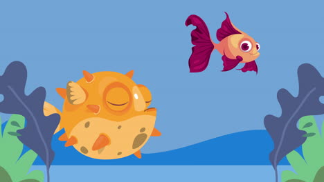 cartoon pufferfish and goldfish