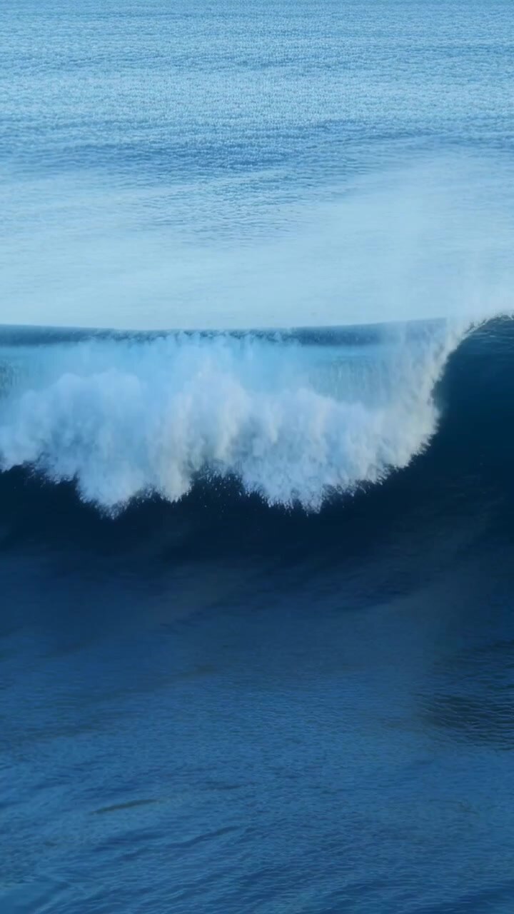Vertical video: Curling ocean wave forming and breaking from swell at sea, showing crest and foam