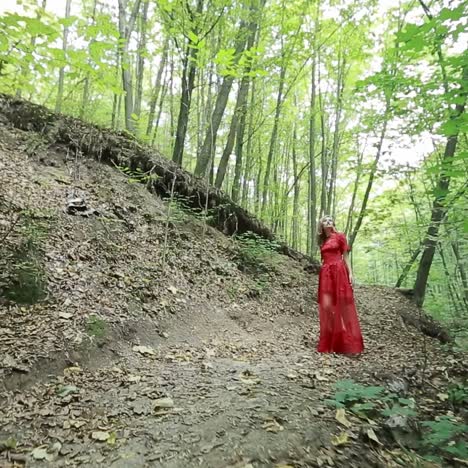 una mujer bonita explora un hermoso bosque.