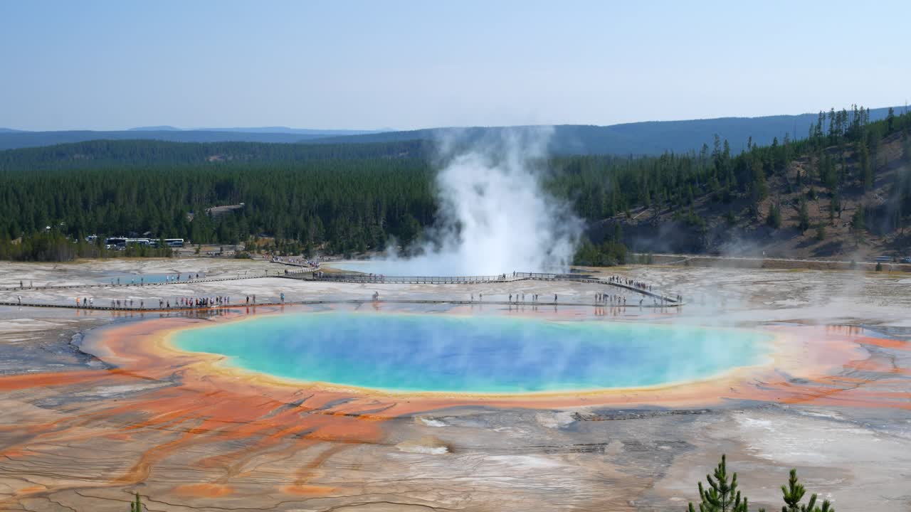 Mesmerizing aerial footage captures the vivid colors and thermal steam rising from Grand Prismatic Spring in Yellowstone National Park under a clear blue sky, showcasing nature's beauty