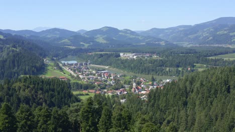 Luft-Nach-Vorne-über-Dichten-Wald