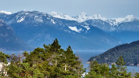 águila calva volando sobre los árboles con la torre de telecomunicaciones en la bahía de la herradura en la columbia británica, canadá