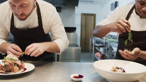 two diverse male chefs decorating meals in kitchen, slow motion