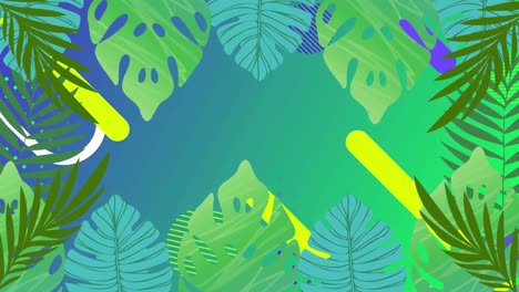 animation of green tropical plants over shapes on green background