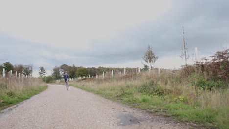 perro corriendo más allá de la cámara en cámara lenta