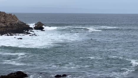surfers braving the winter storm and catching large waves at lover's point beach, a popular surfing destination in the monterey peninsula