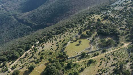 lush green mountains and vegetation in cres, croatia - aerial drone shot