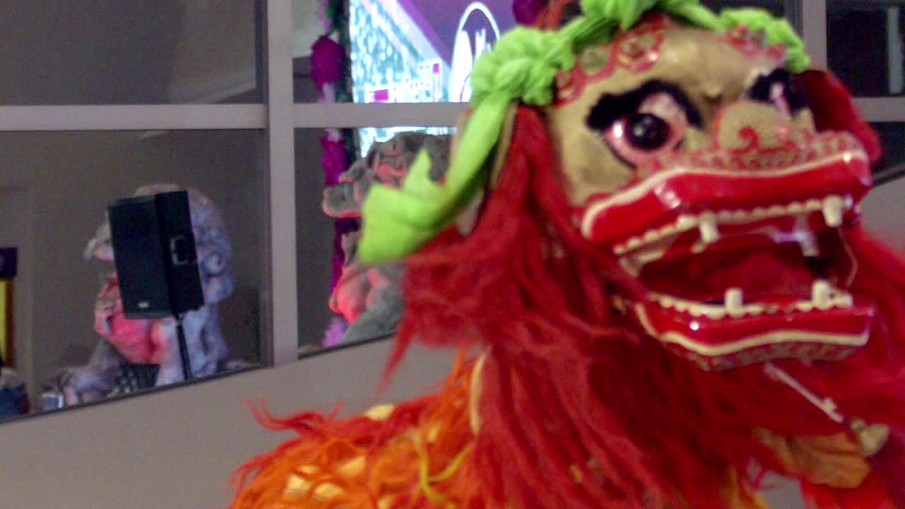 Fierce animal character colourful disguise, slow motion entertainment