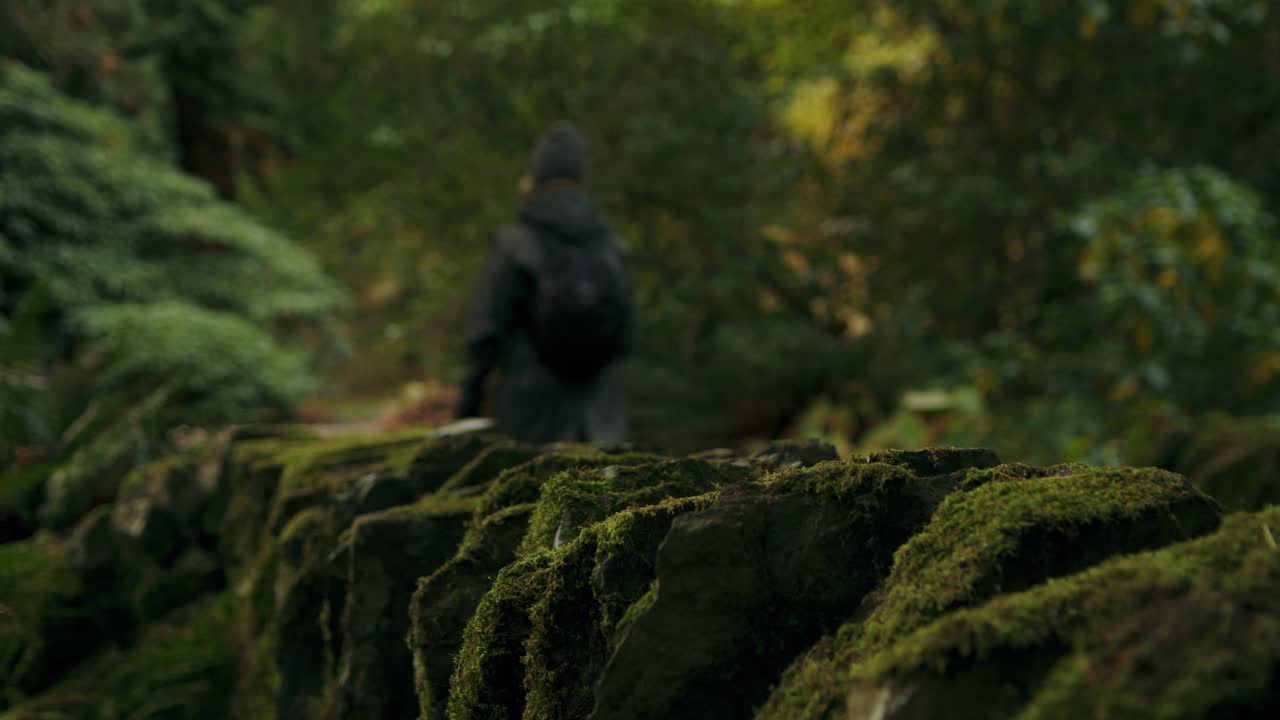 Kvinnelig turgåer passerer grønne mosegrodde steinvegger på en mørk natursti om høsten.