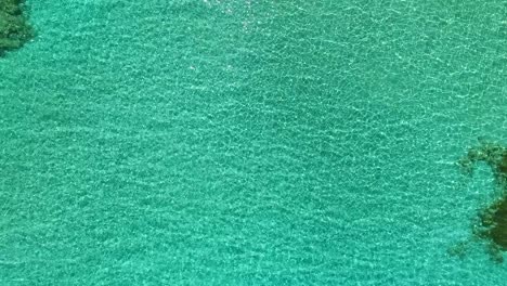 aerial drone shot looking down on turquoise clear tropical waters as camera rises up to zoom out and show a coral reef