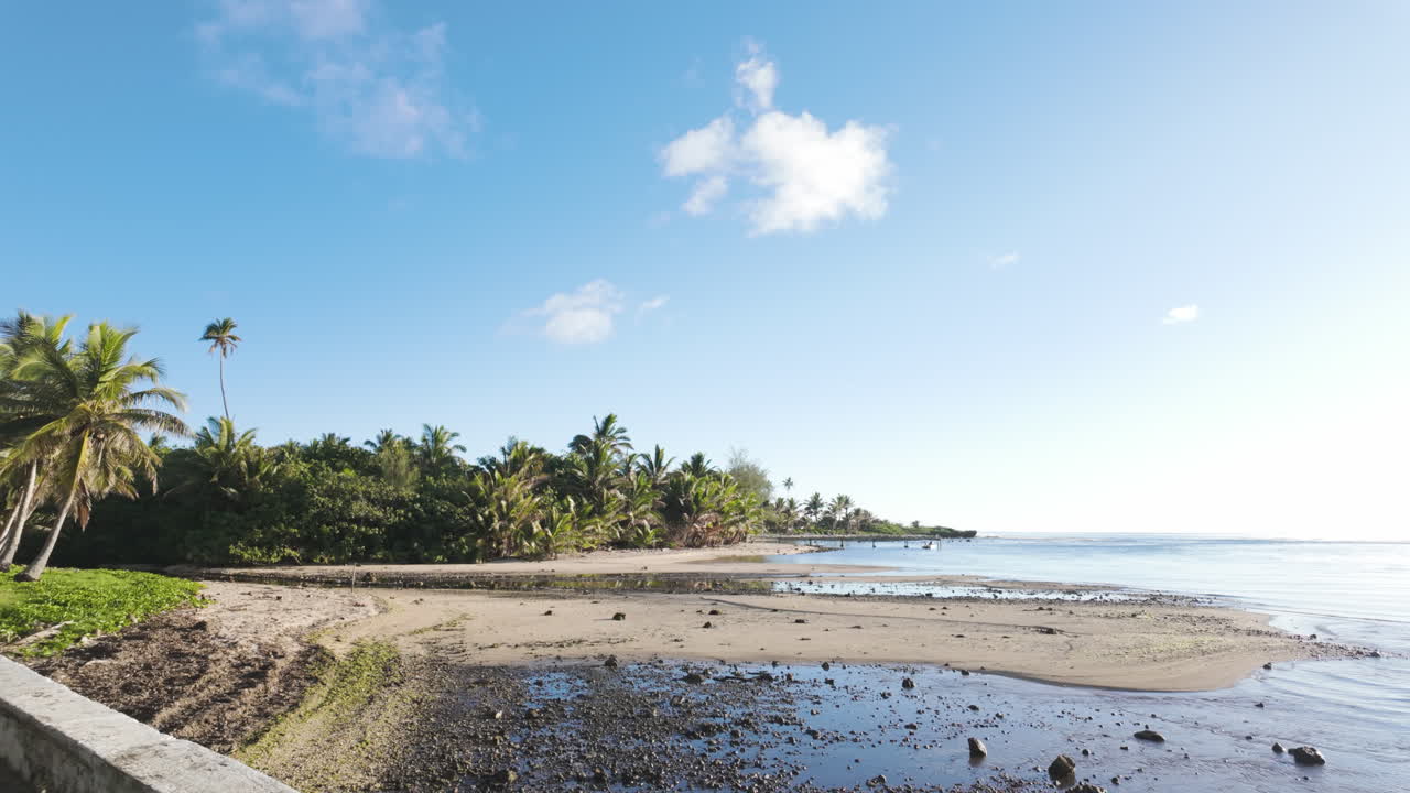 Scenic view of the Garden of the Seven Stones beach in the Cook Islands, featuring palm trees, a tranquil shoreline, and clear blue skies