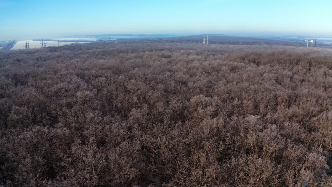 Natural landscape of leafless forest. Panoramic view of nature with naked trees in the wood. Aerial view.