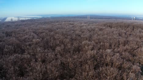 natural landscape of leafless forest. panoramic view of nature with naked trees in the wood. aerial view.
